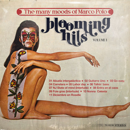 The Many Moods Of Marco Polo (Vol. 1)